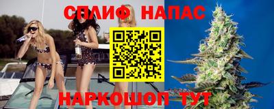гашик Нальчик