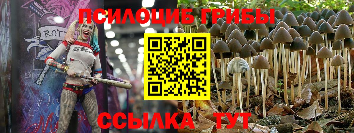 Пушкино  Галлюциногенные грибы ЛСД  Вход с VPN 